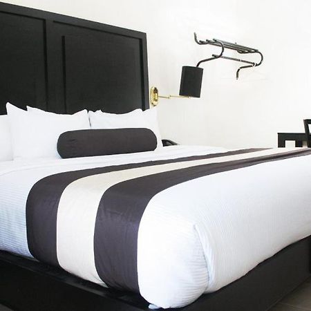 Hotel El Camino Inn & Suites Reynosa Zewnętrze zdjęcie